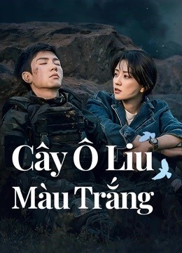 Xem phim Cây Ô Liu Màu Trắng